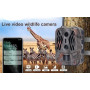 Trail Caméra - 4G 4K 36MP trail camera with APP control - 120° night vision IP66