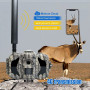 Trail Caméra - 4G 36MP Trail camera : 30m Night Vision, 1080p HD Video, Mobile App