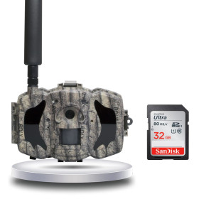 Trail Caméra - 4G 36MP Trail camera : 30m Night Vision, 1080p HD Video, Mobile App