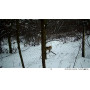 Trail Caméra - 4G HD 16 Megapixel Trail camera