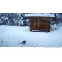 Trail Caméra - 4G HD 16 Megapixel Trail camera