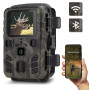 Trail Caméra - 20MP Full HD Trail camera | 20M Night Vision | IP65 Waterproof