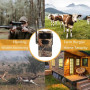 Trail Caméra - 4G 4MP Solar Camera - 30M Night Vision 12 Month Battery Life