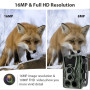 Trail Caméra - Trail camera HD 1080P | Night Vision 20m | Trigger 0.3s