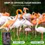 Trail Caméra - High Performance 4G LTE Trail camera