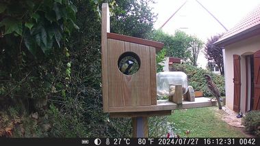photo shot hunting camera